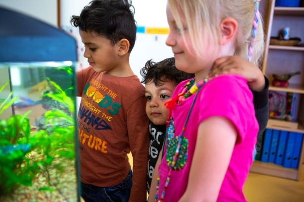 Drei Kinder gucken sich ein Aquarium an