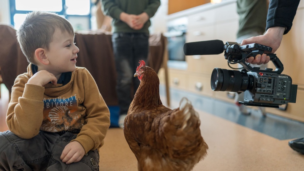 Junge und Huhn werden gefilmt