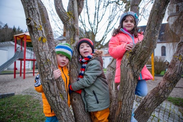Drei Kita-Kinder sind auf einen Baum geklettert
